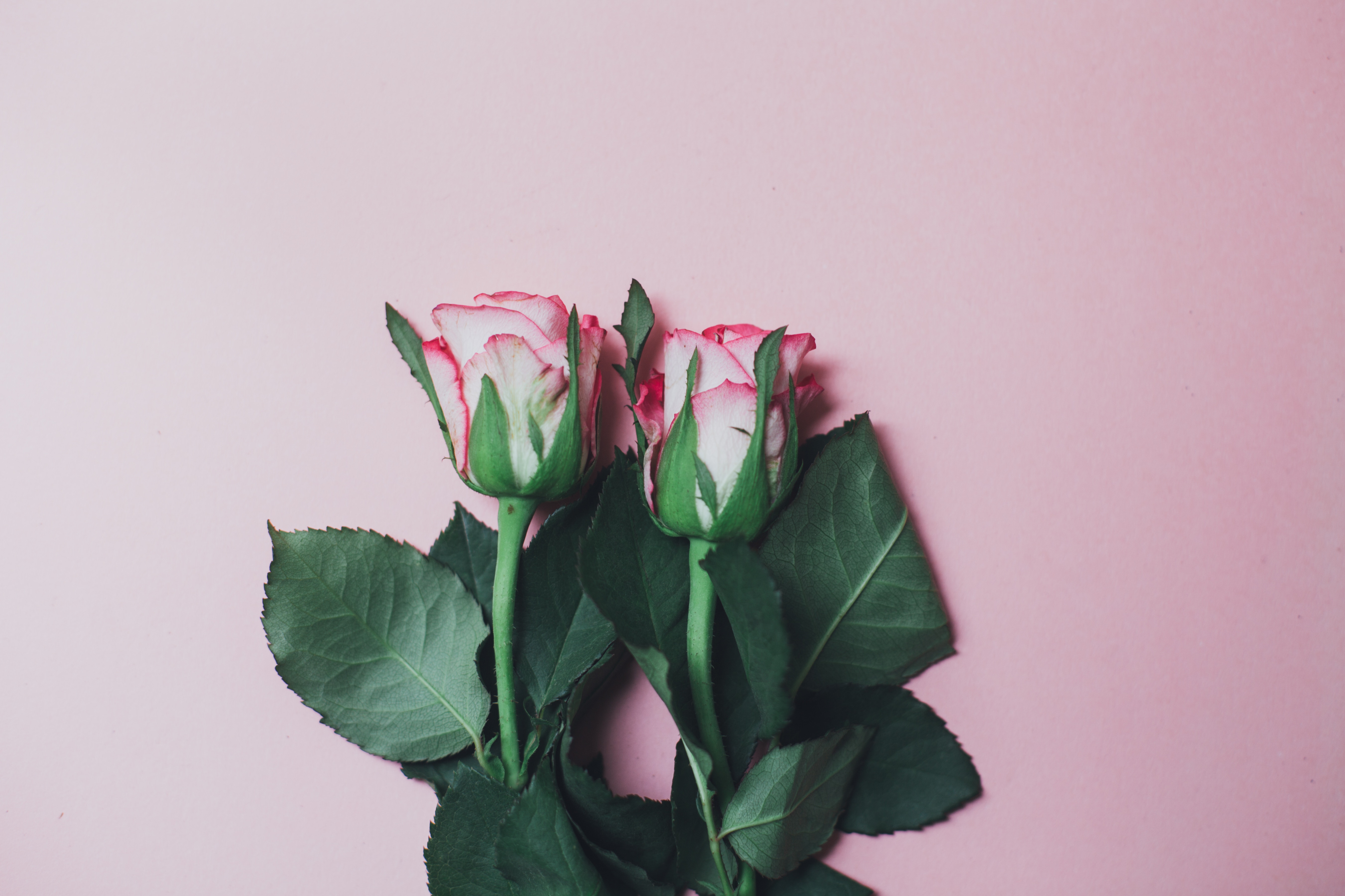 ideias para Outubro Rosa na empresa
